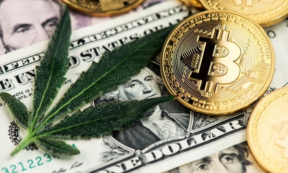cannabis crypto coin