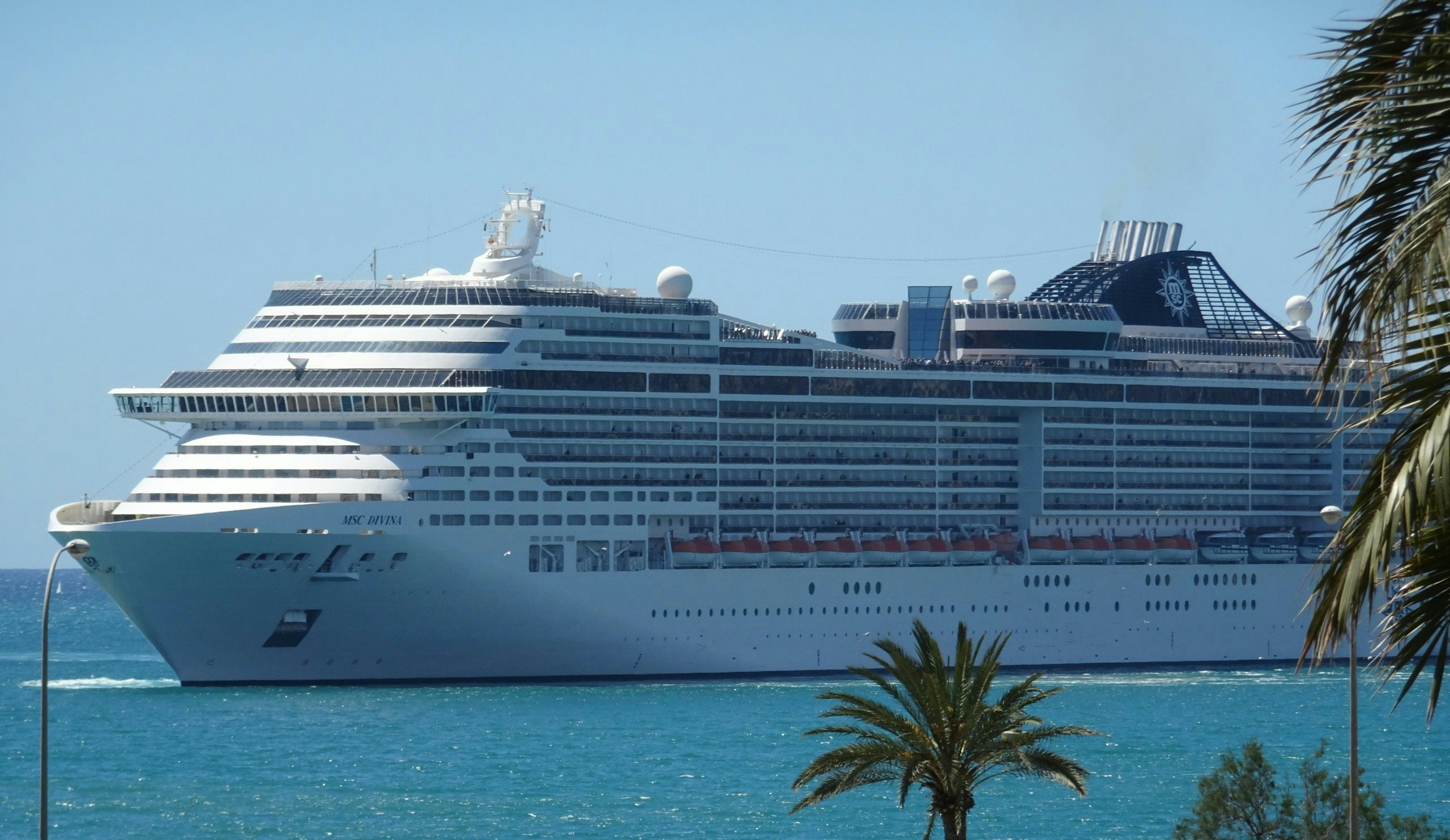 420 friendly cruise lines