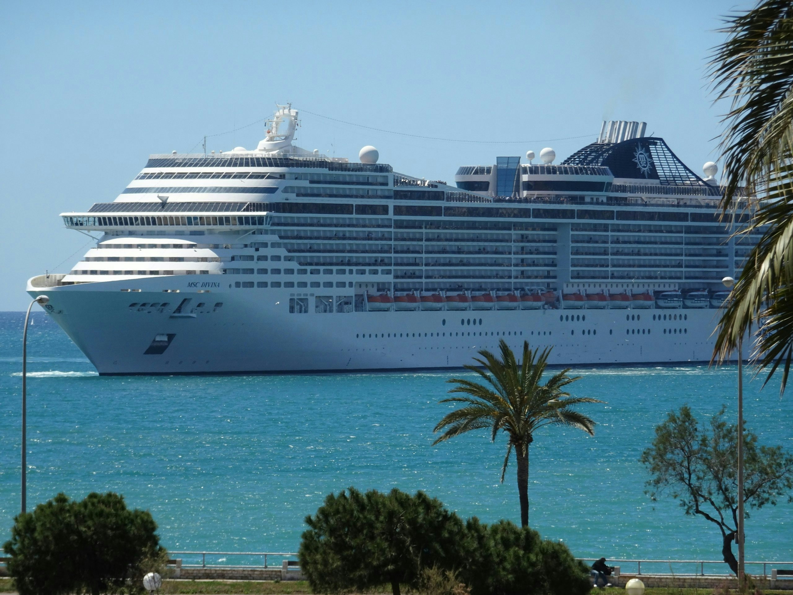 420 friendly cruise lines