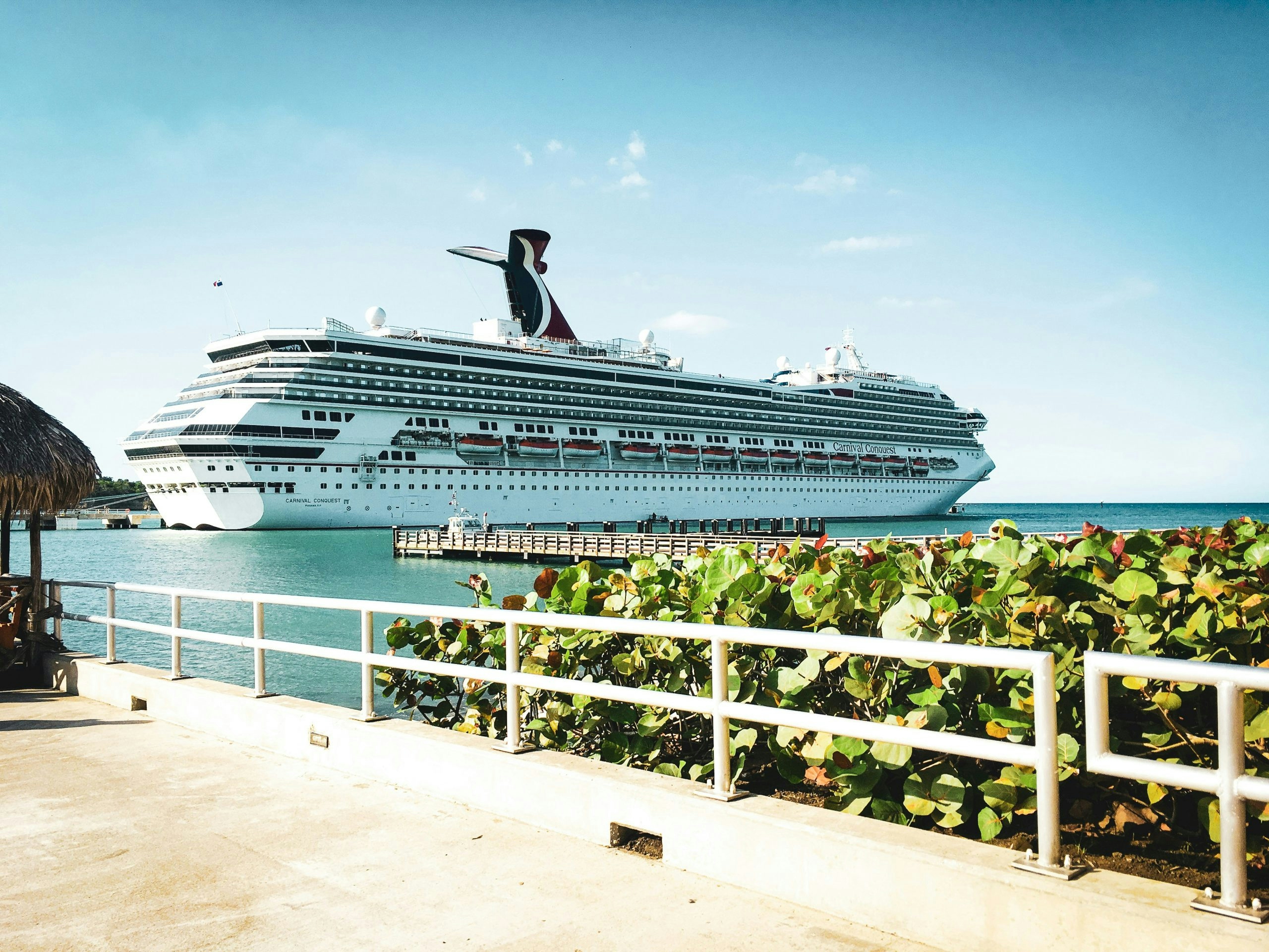 420 friendly cruise lines