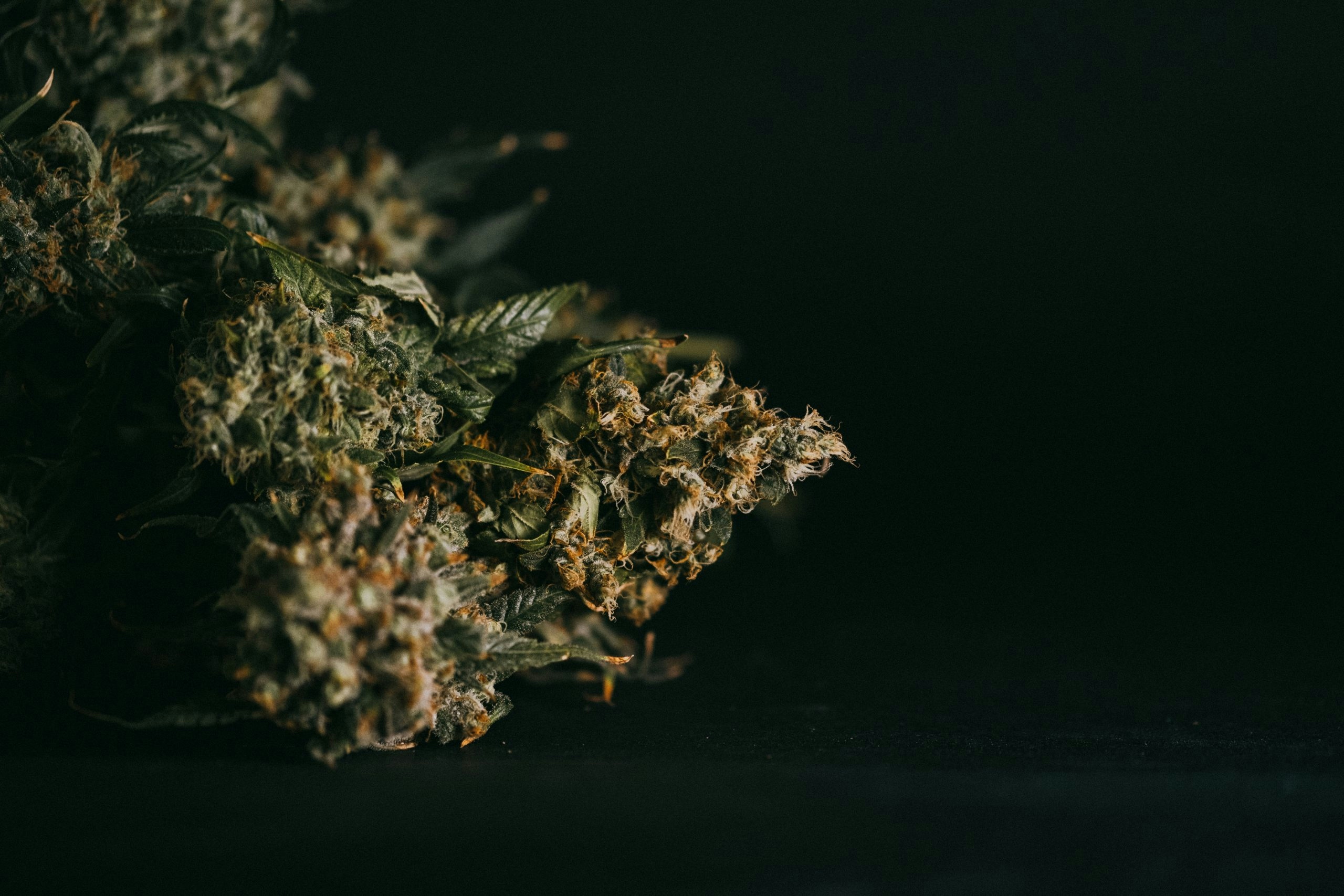 best terpenes for pain