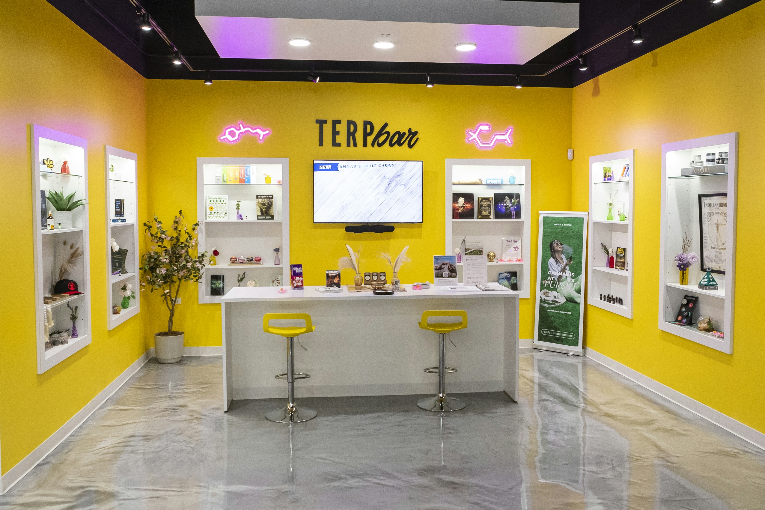 bisa lina dispensary