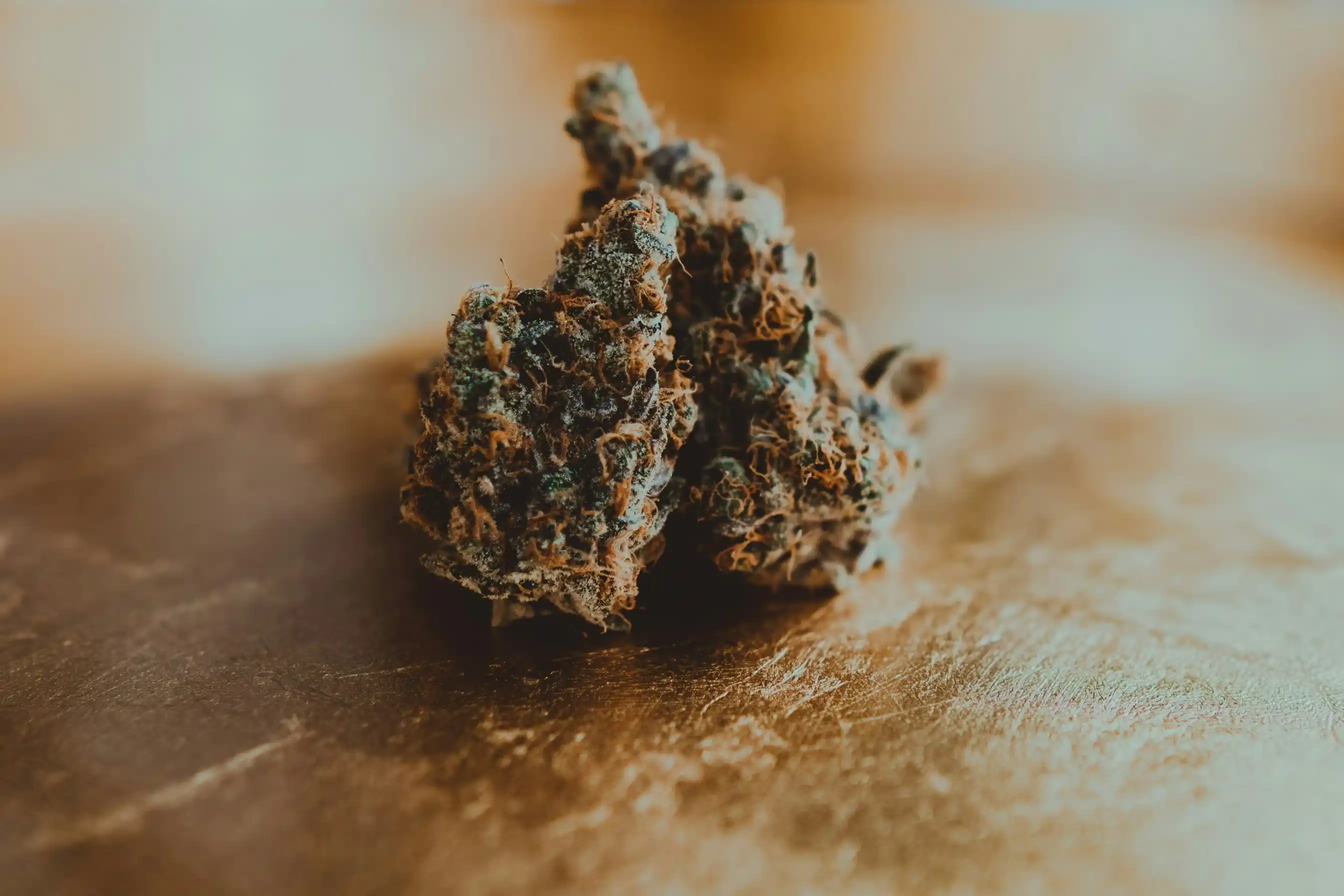 Ripe Buds vs Unripe: How To Tell When Your Weed Is Ready | Herb