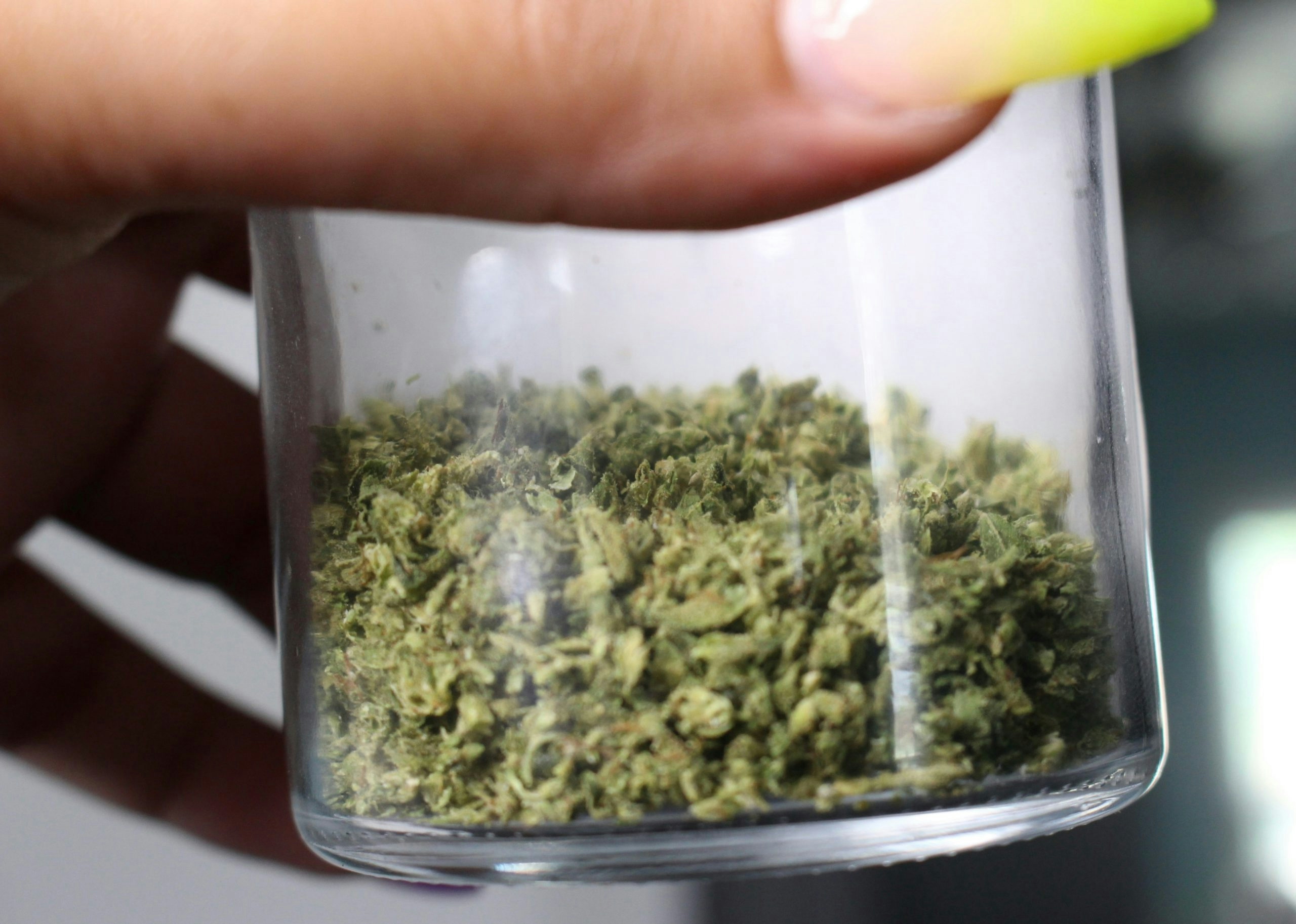 How to keep weed fresh for months