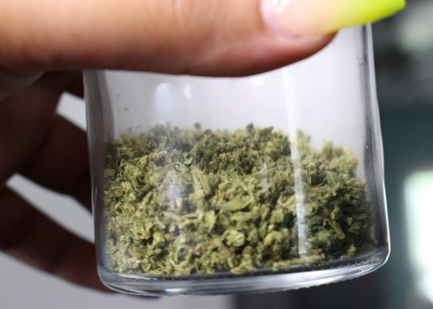 How to keep weed fresh for months
