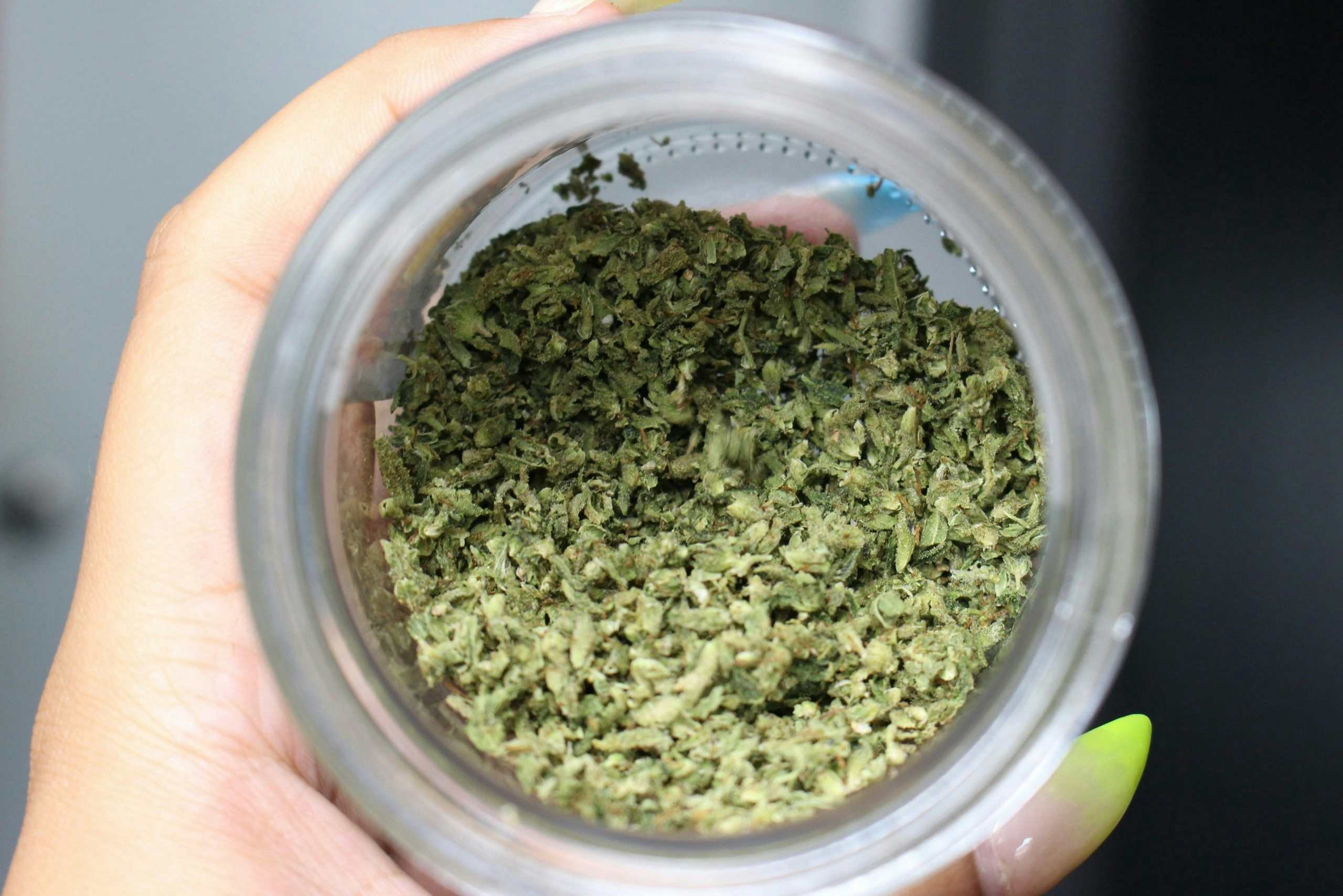 How to keep weed fresh for months