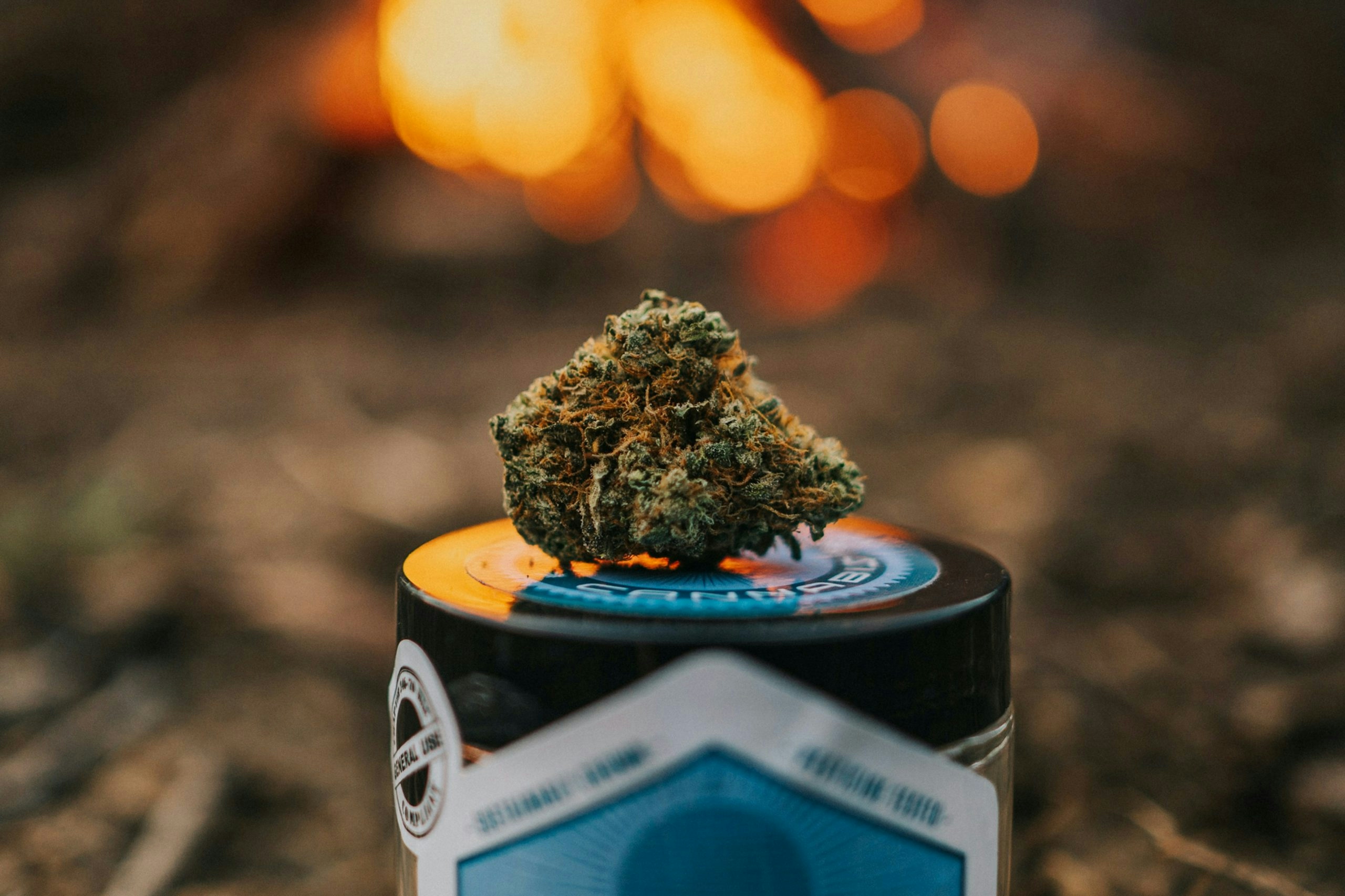 How to keep weed fresh for months