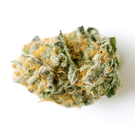 what is the most powerful weed