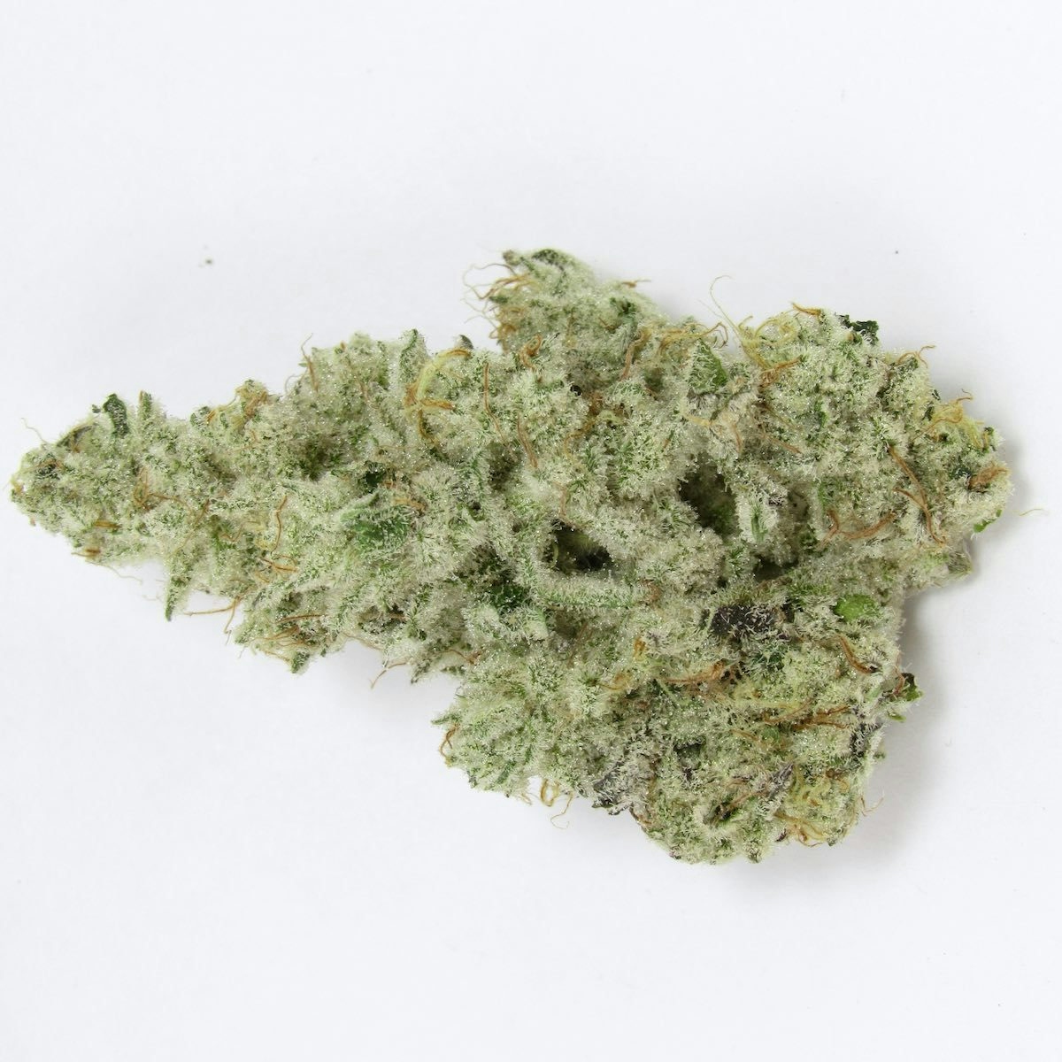 what is the most powerful weed