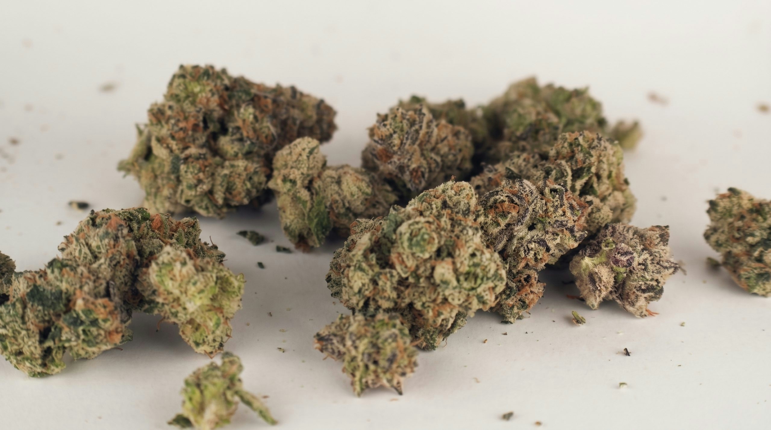 few cannabis buds over a table