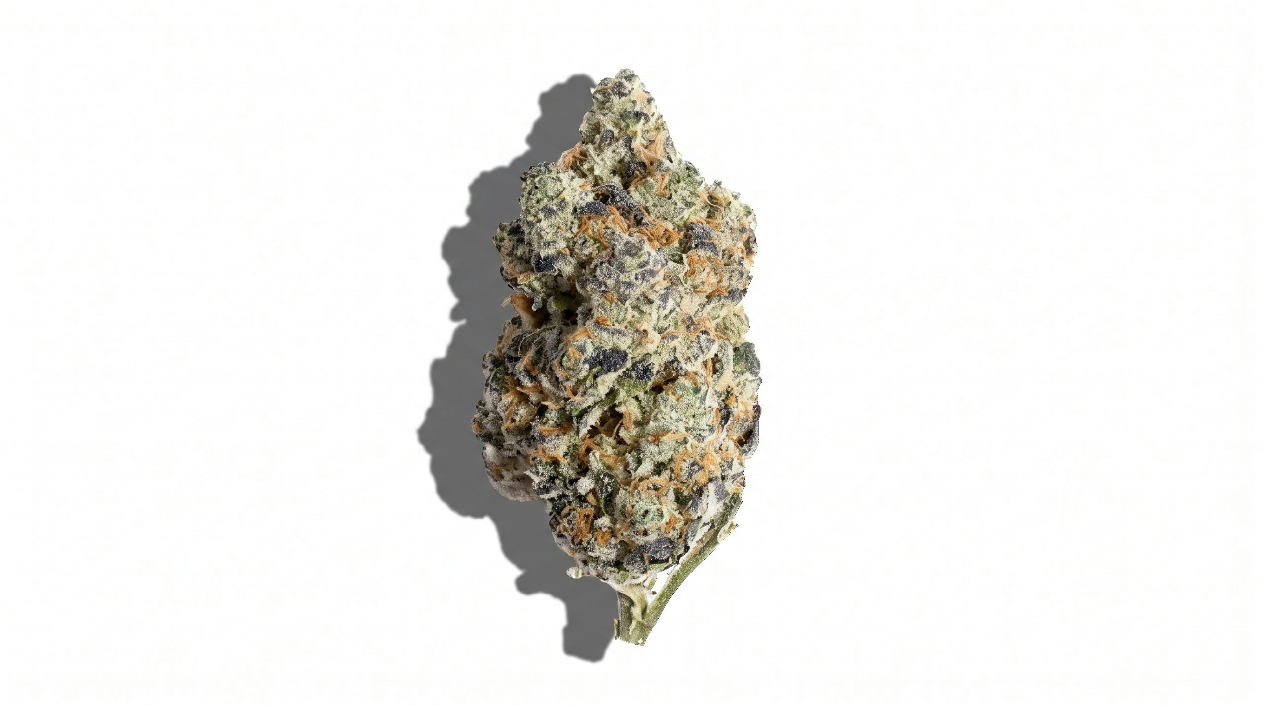la kush strain against a white background