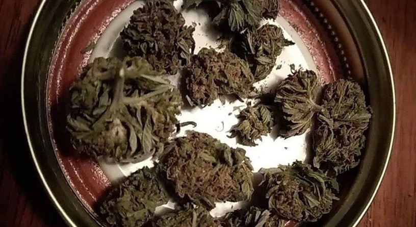what is reggie weed