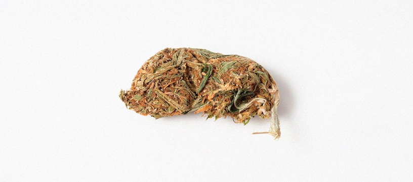 what is reggie weed