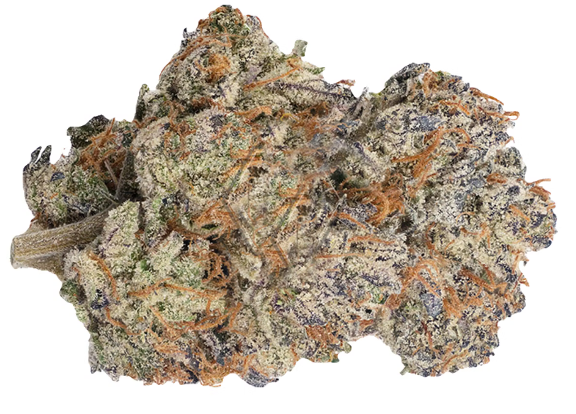 strongest weed strains