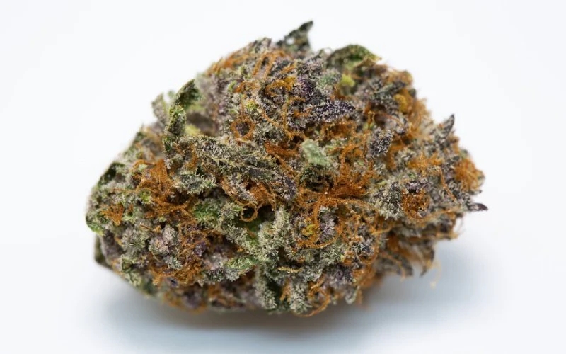 strongest weed strains
