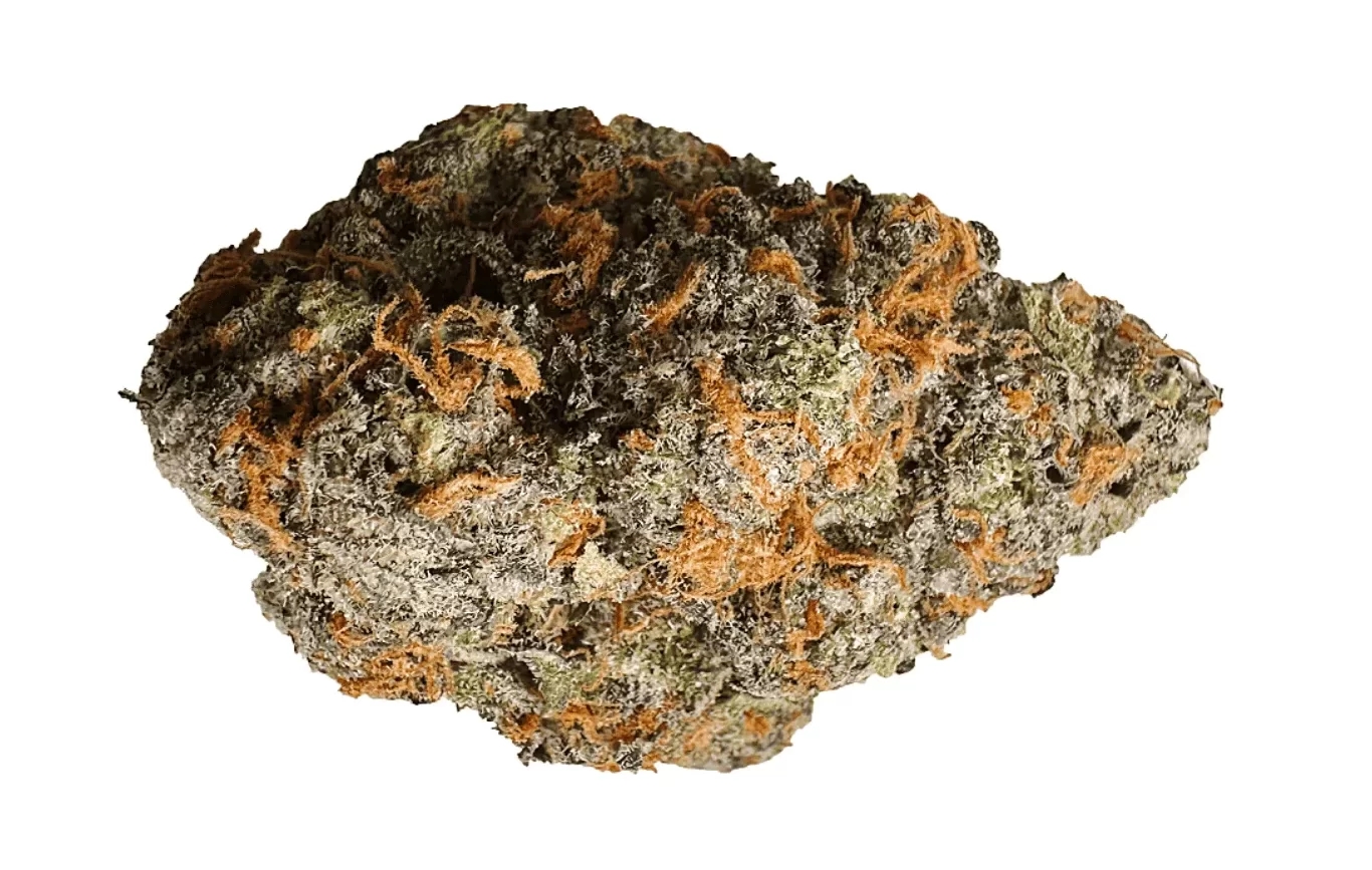 strongest weed strains