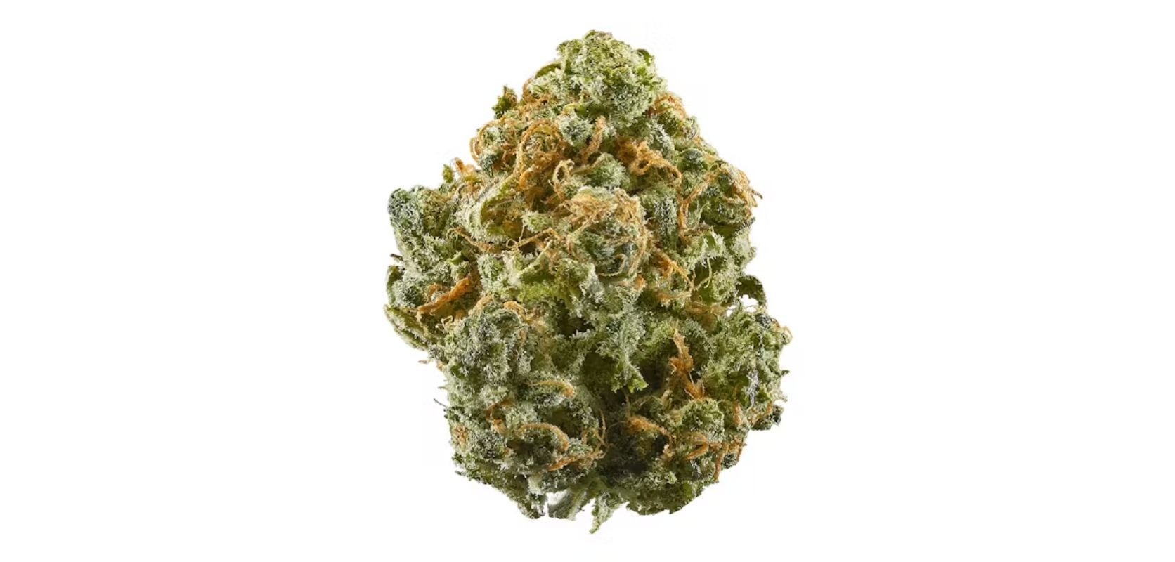 strongest weed strains