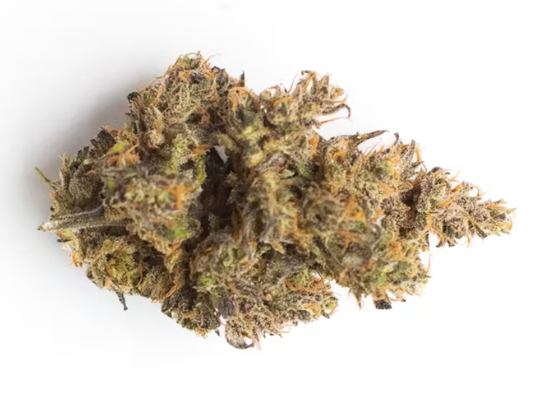 strongest weed strains