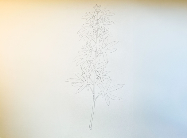 how to draw a weed plant