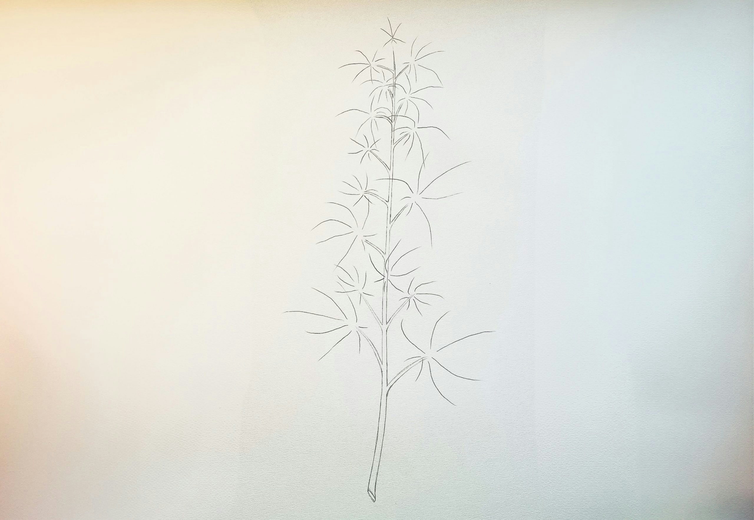 how to draw a weed plant