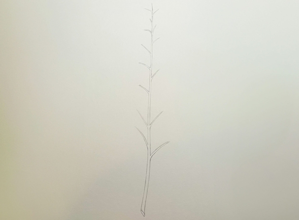 how to draw a weed plant