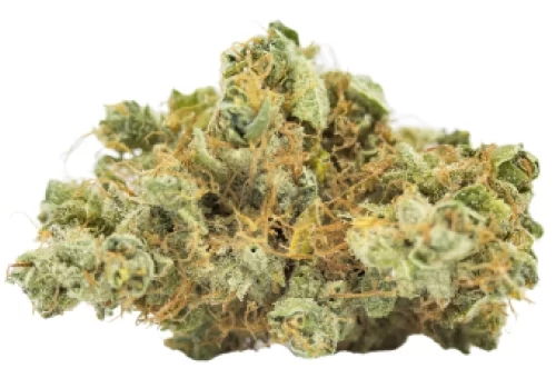 Premium cannabis flower showcasing dense buds, vibrant colors, and frosty trichomes