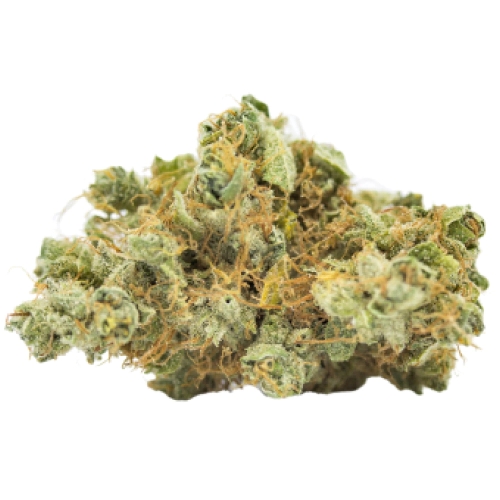 strongest weed strains