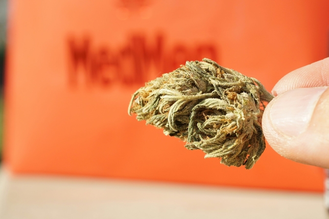 thca flower frequently asked questions