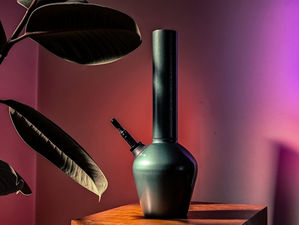 The Best Type of Bong For a Dry Herb Vape