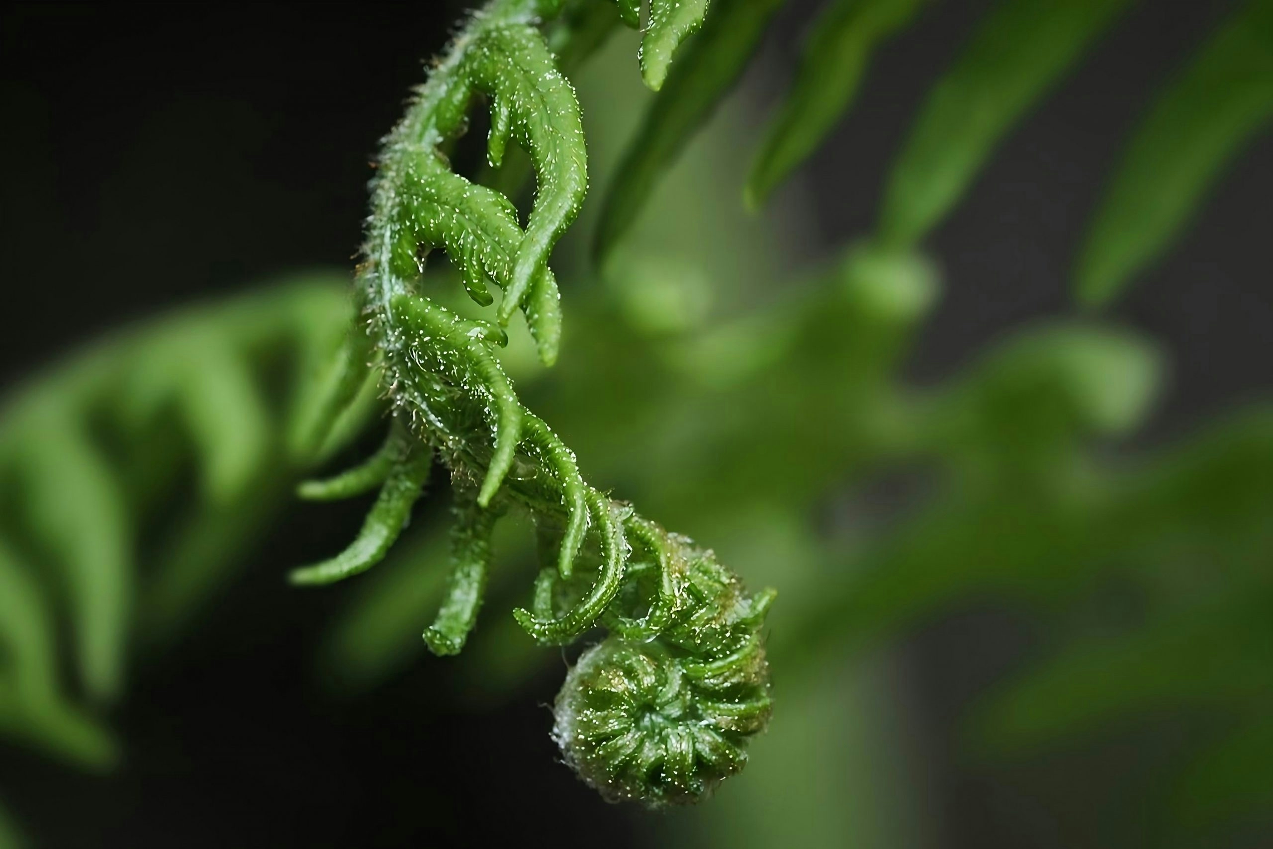 How to fix seedlings