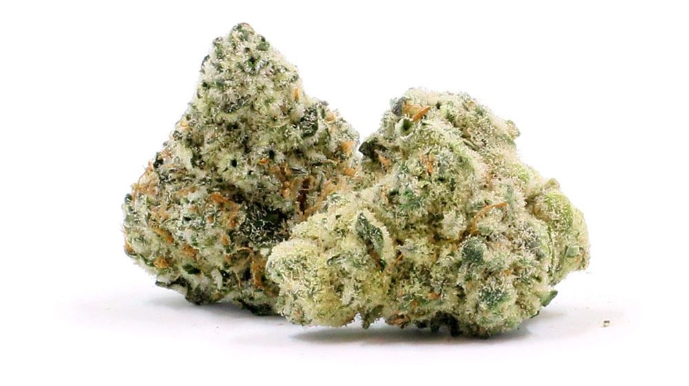 Best Low Odor Strains For Indoor Growing Cannabis