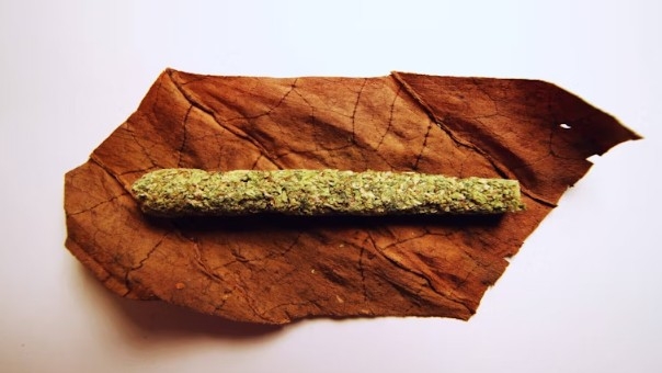 how to make a cannagar