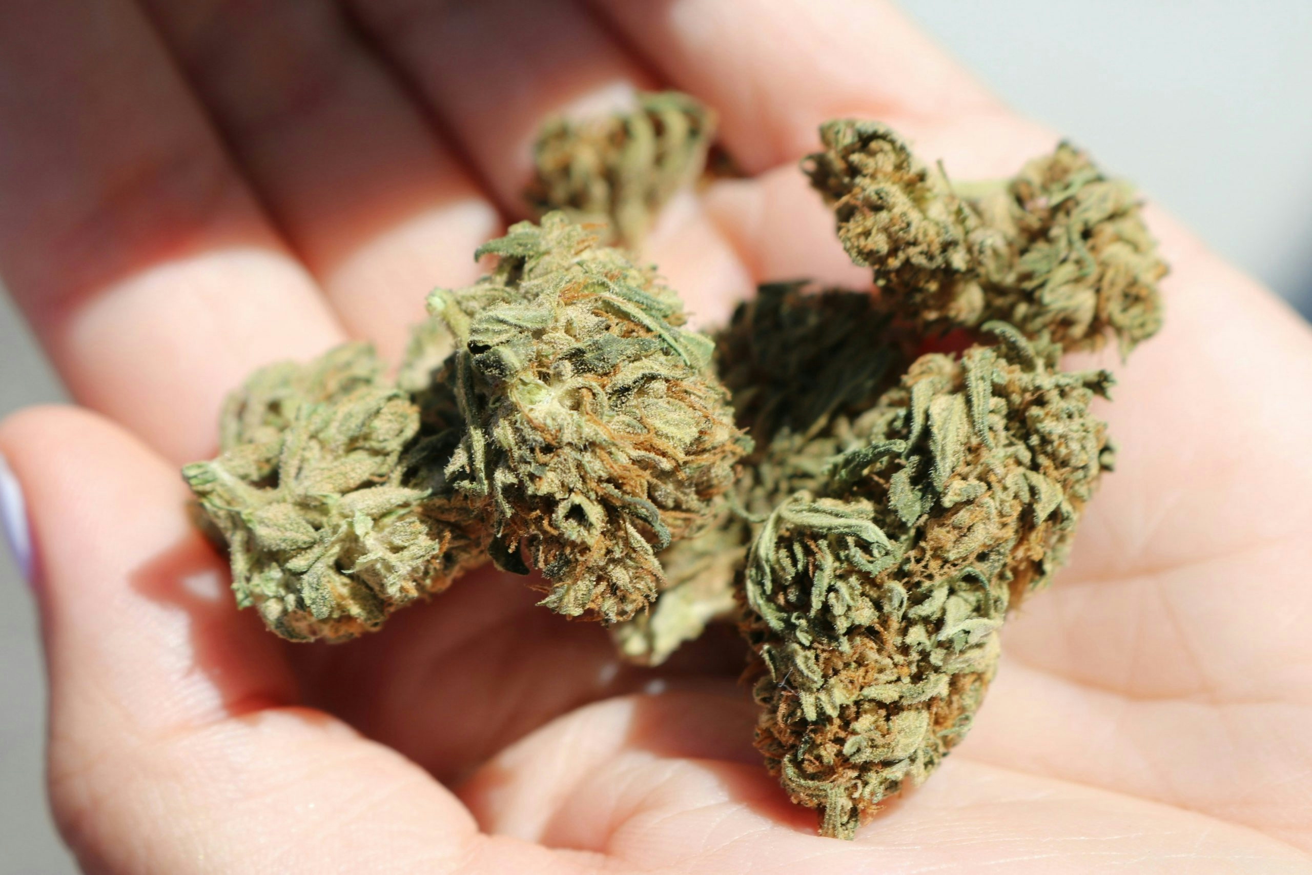 rolling your first joint