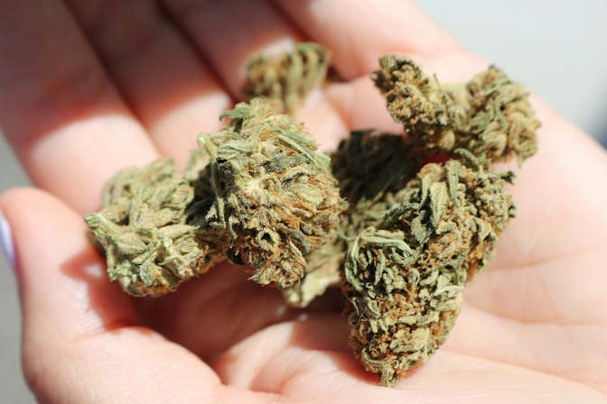 rolling your first joint