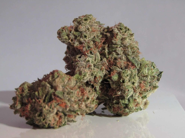 sativa strains