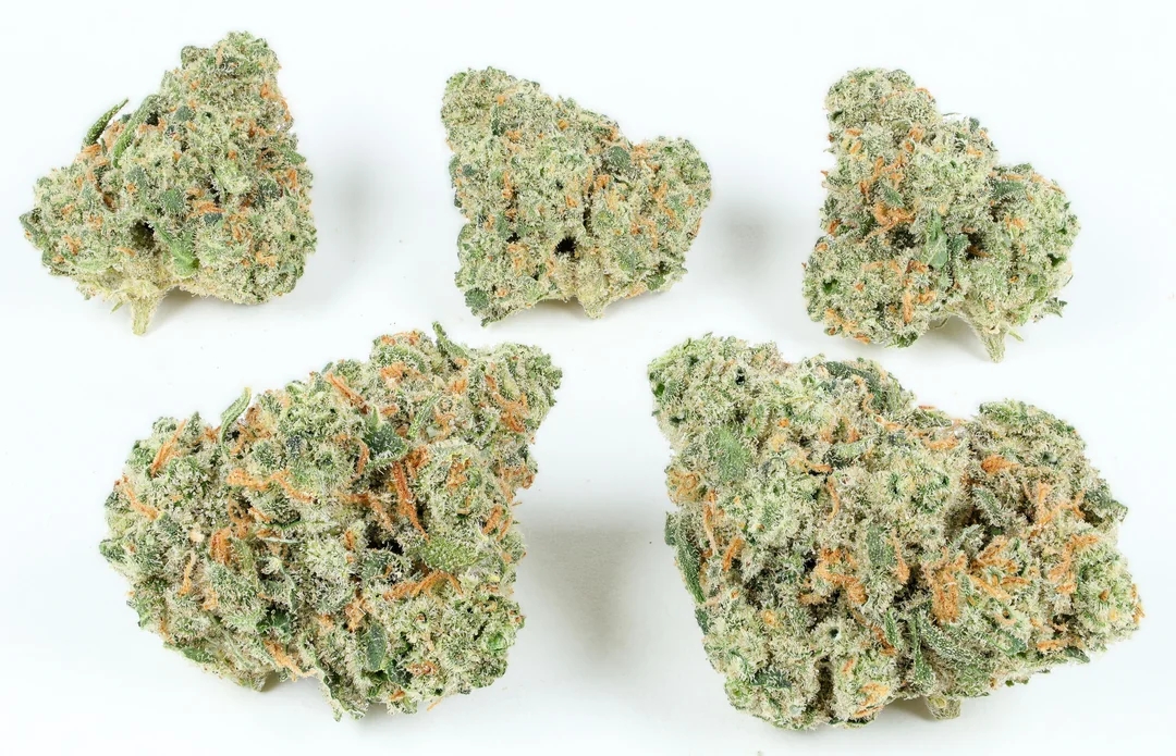 sativa strains