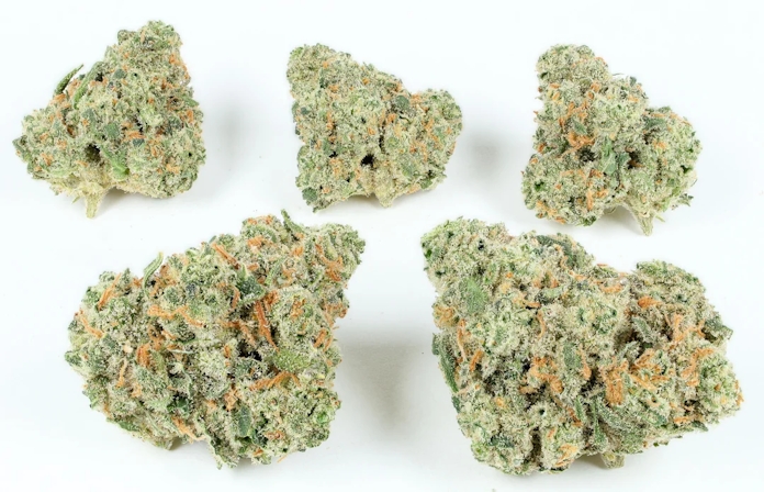 sativa strains