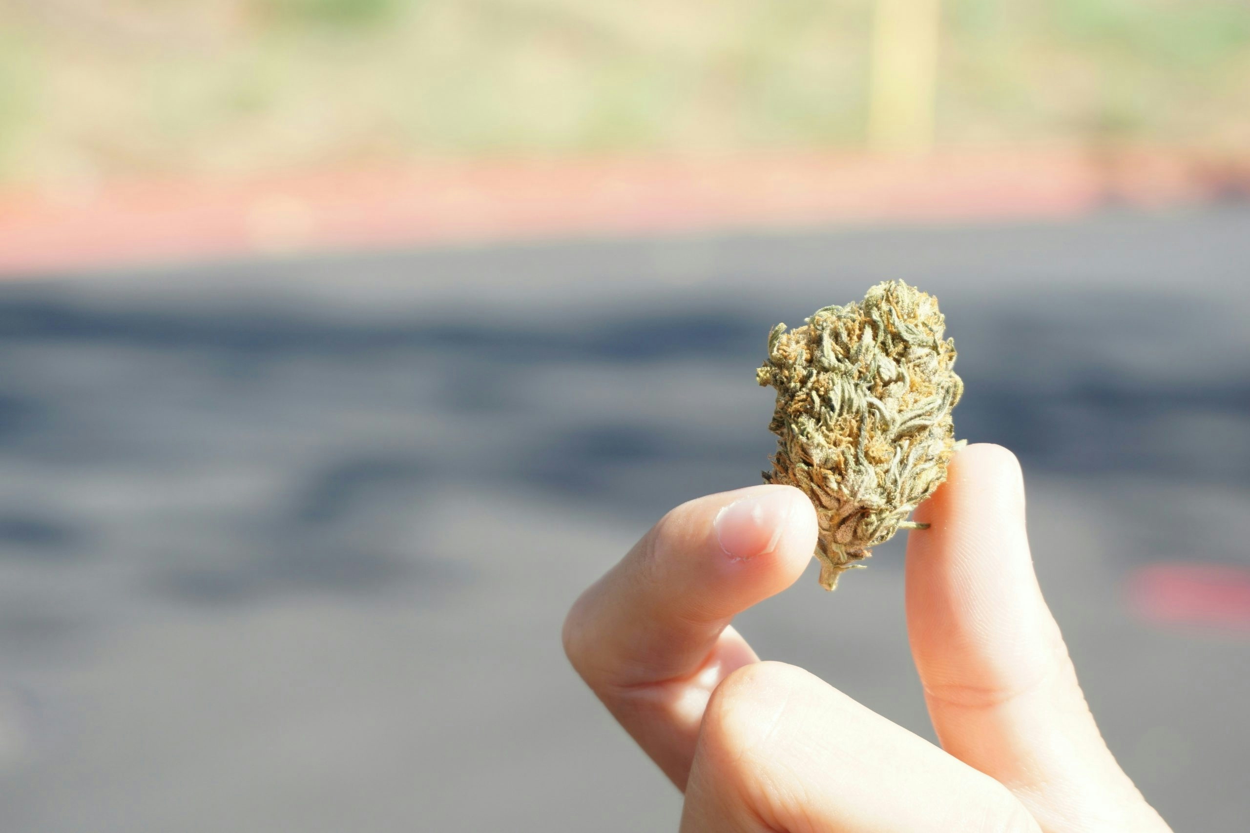 can you travel with weed