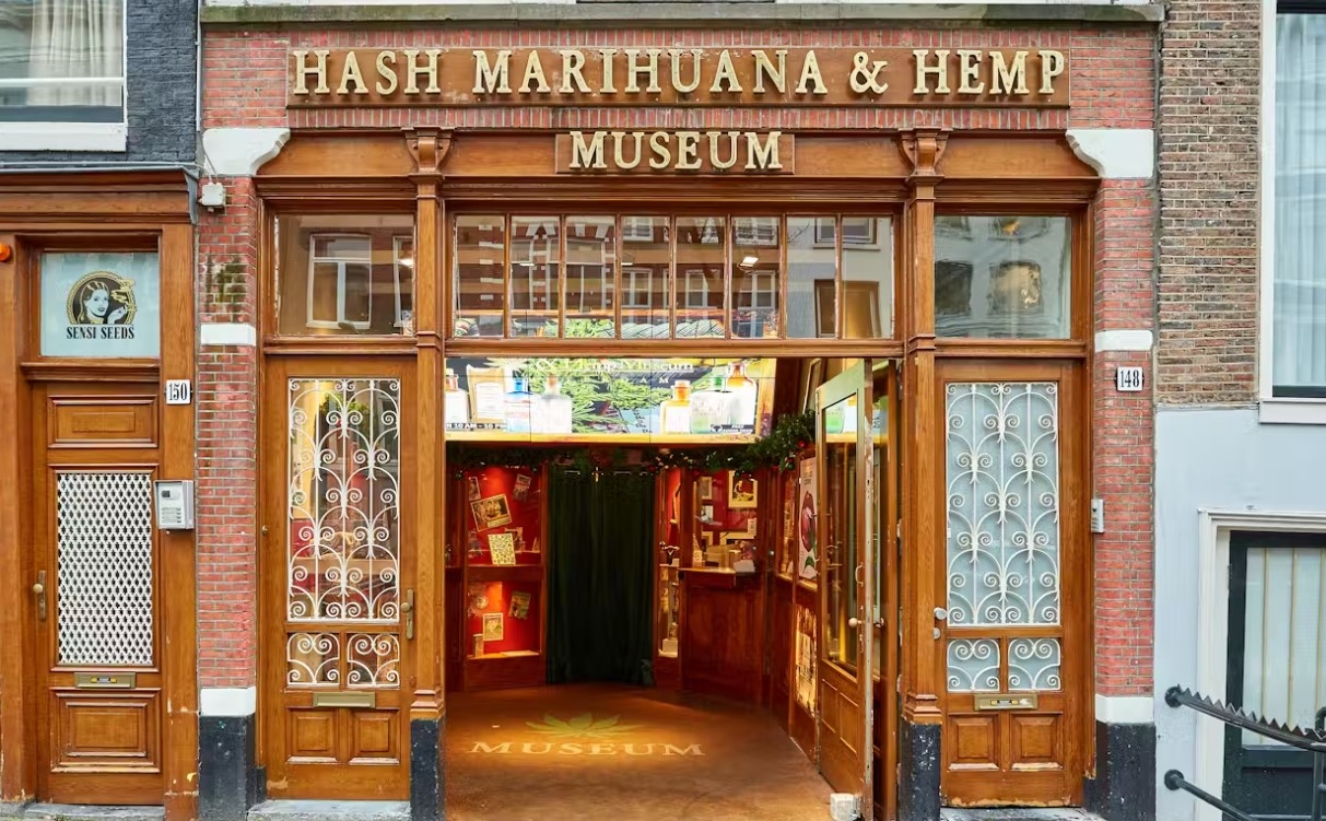cannabis museums