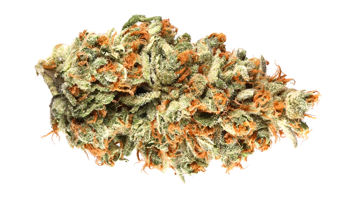 Here Are The Rarest Weed Strains On Earth Right Now