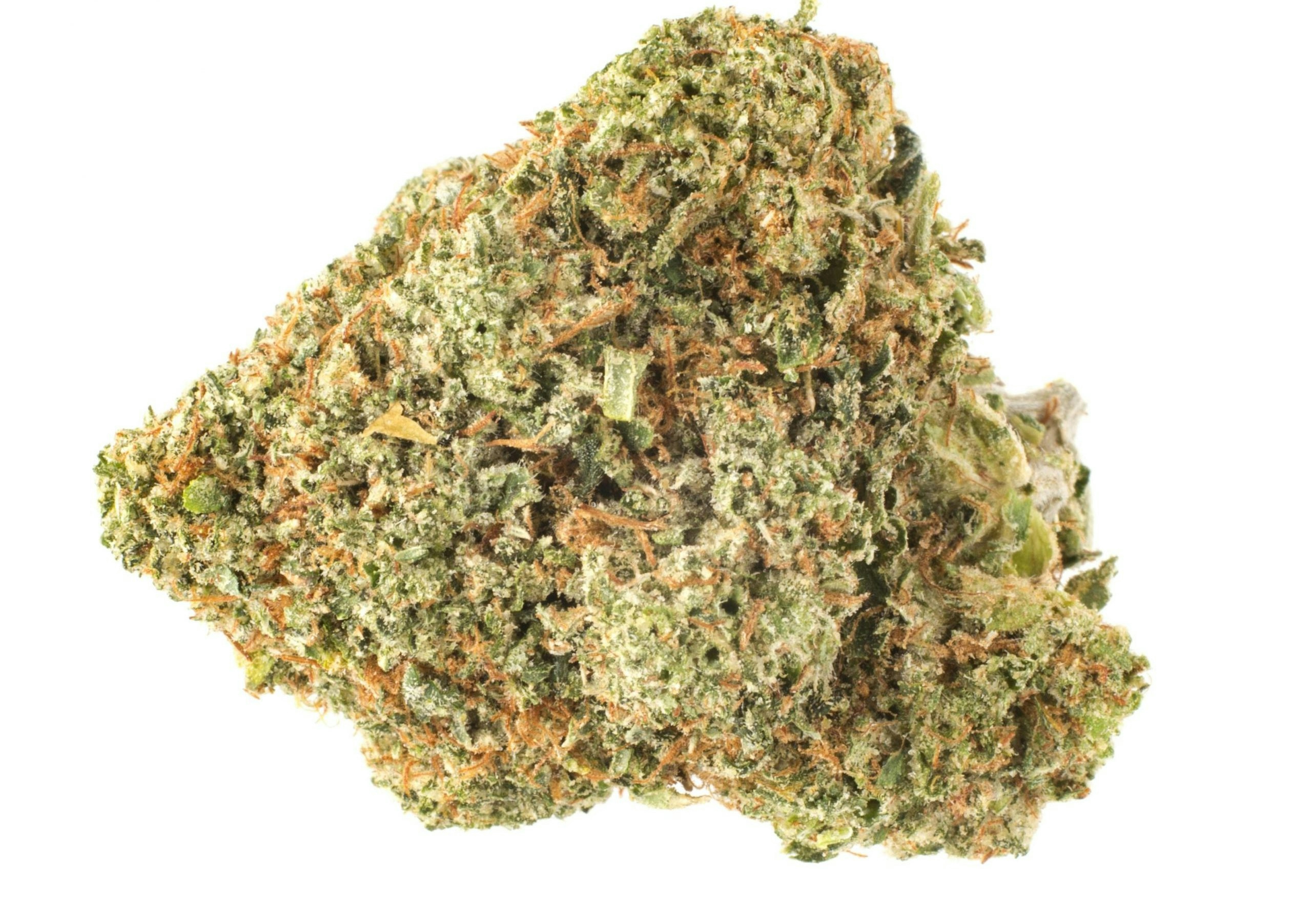 Here Are The Rarest Weed Strains On Earth Right Now