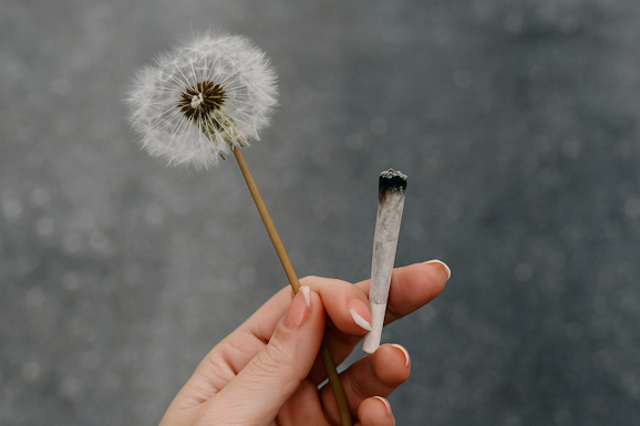 weed and meditation
