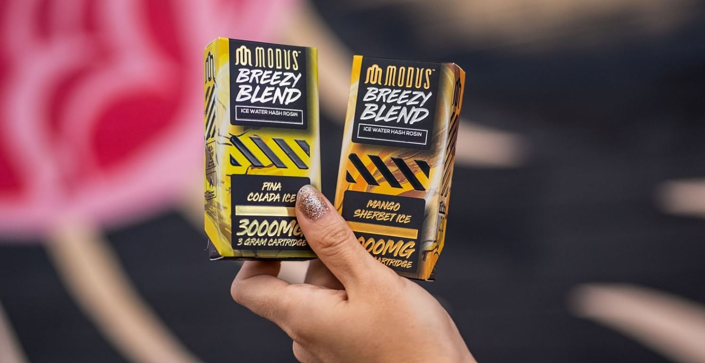Hand holding two Modus Breezy Blend boxes