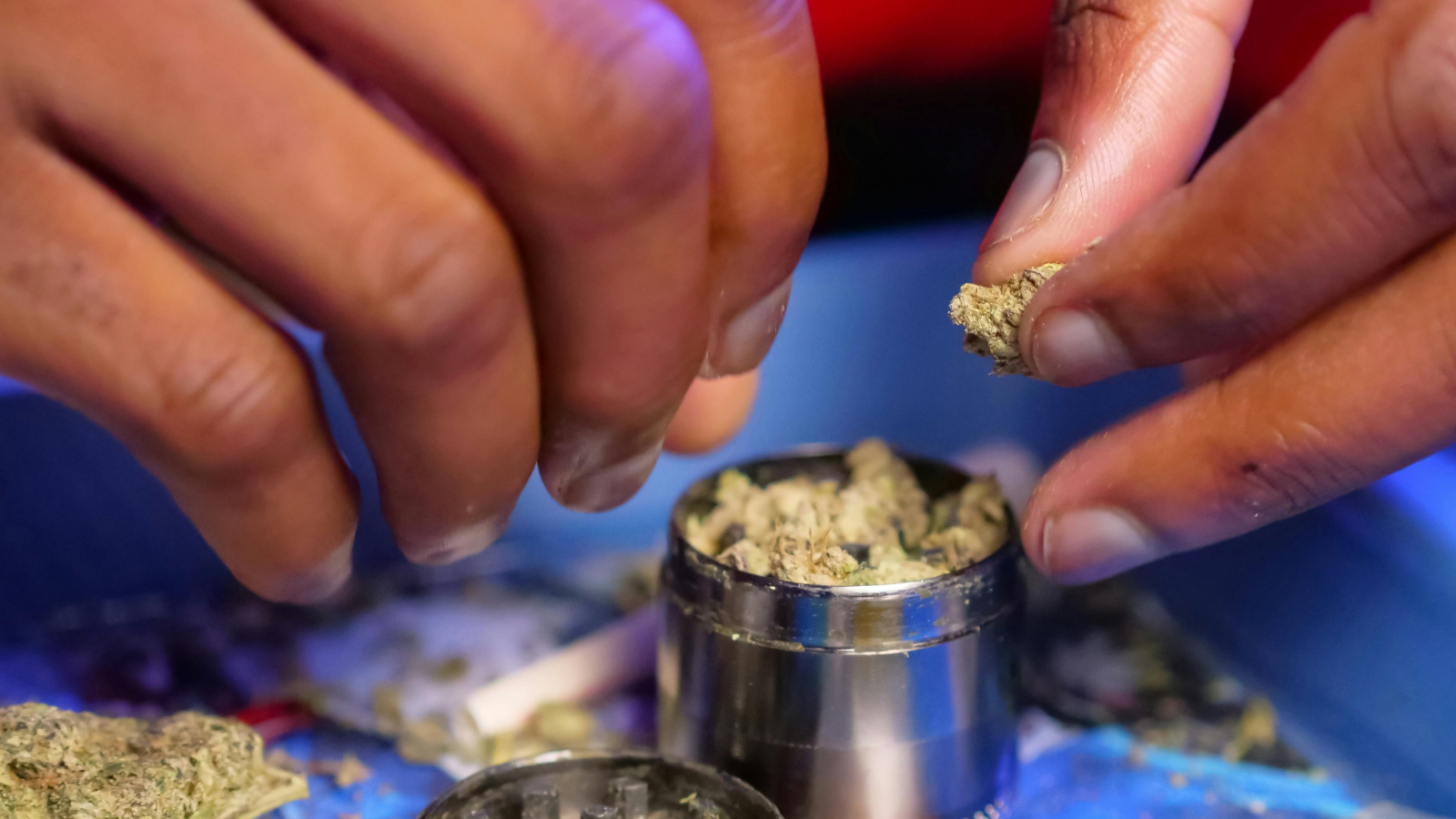 Person Putting Skunk Weed on Grinder