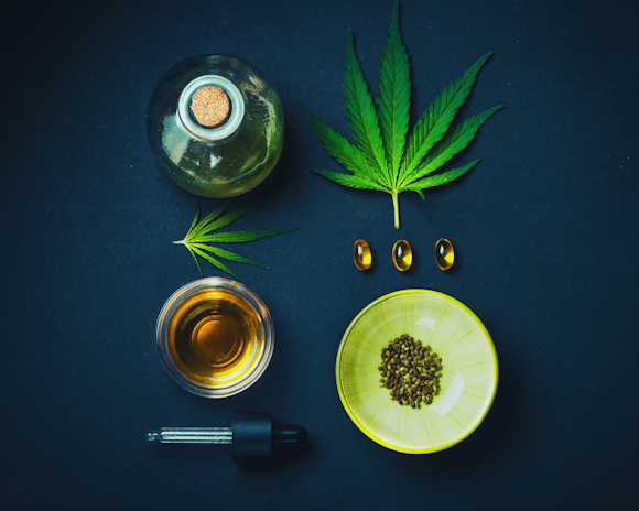 20 CBD Antioxidant Properties Statistics in 2025