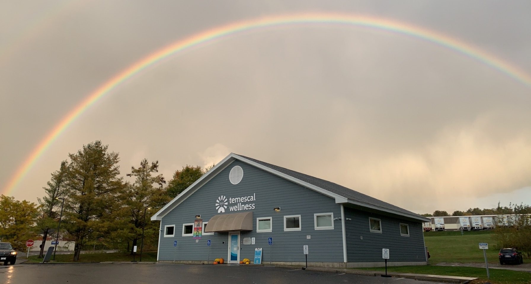 best dispensary in pittsfield