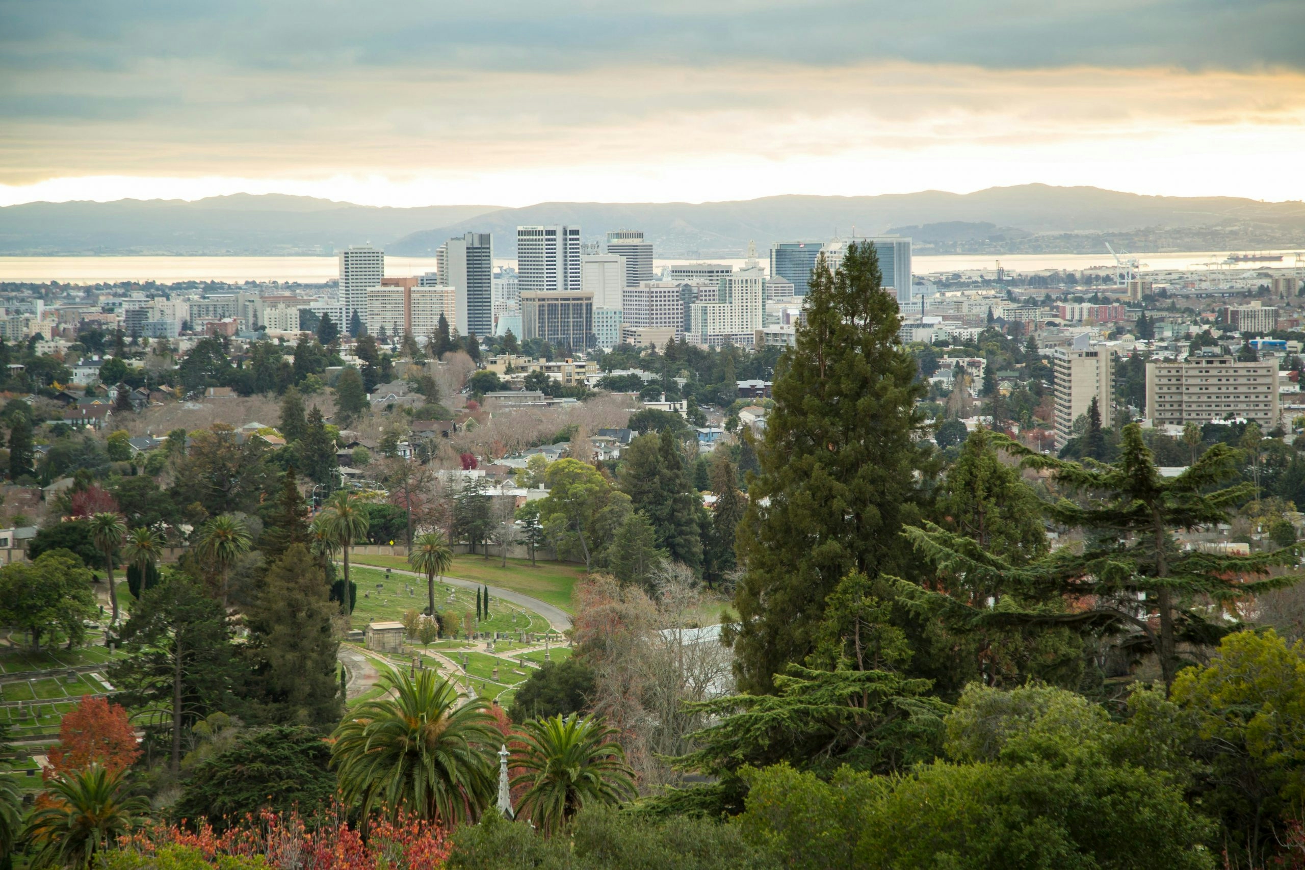 Scenic Oakland Skyline with Trees and Bay View