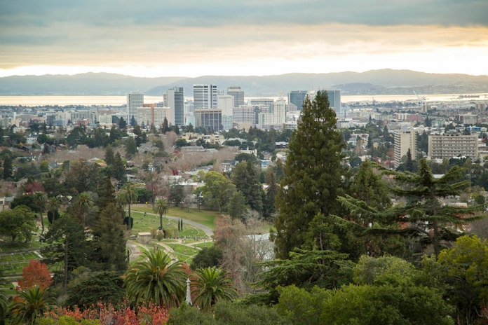Scenic Oakland Skyline with Trees and Bay View