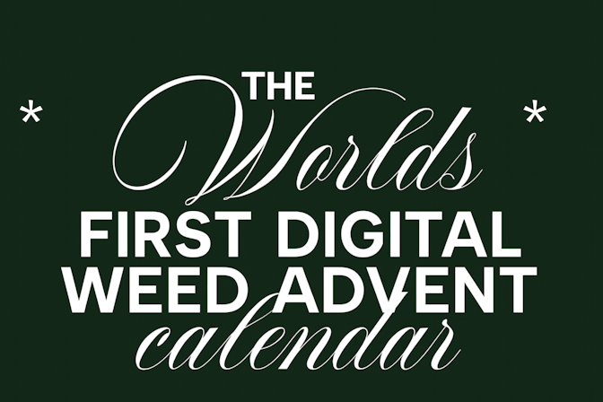 weed advent calendar