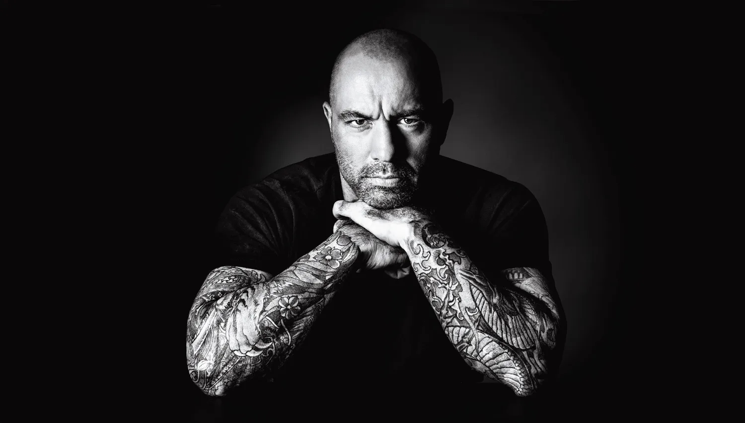 joe rogan weed